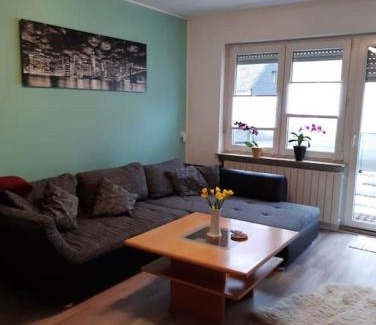 Mehring Apartamento | Ferienwohnung Philippi - Moselblick mit großer Dachterrasse, 75 qm, Hunde willkommen