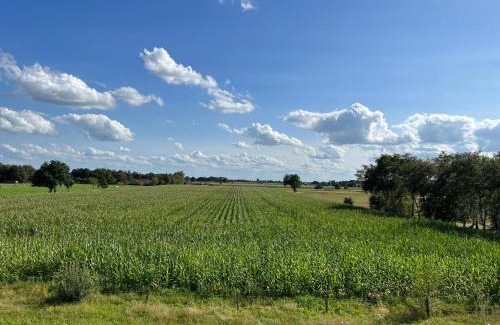 Ihlowerfehn Apartamento | Ferienwohnung Ponywiese
