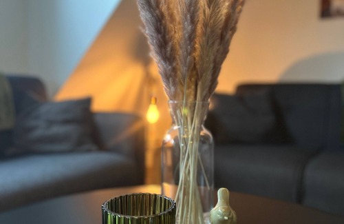 Ihlowerfehn Apartamento | Ferienwohnung Ponywiese