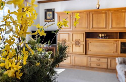 Furtwangen Apartamento | Ferienwohnung Regina