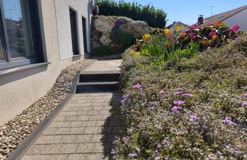 Platten Apartamento | Ferienwohnung Ries am Weinberg