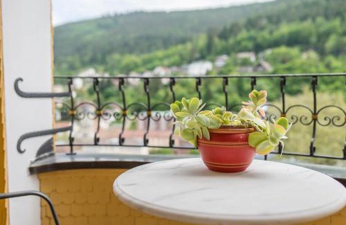 Bad Wildbad Apartamento | Ferienwohnung Saline