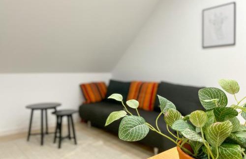 Polch Apartamento | Ferienwohnung Schönes Maifeld