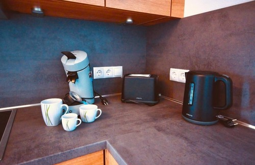 Bischofsmais Apartamento | Ferienwohnung Teufelstisch im Erdgeschoss mit Süd Terrasse