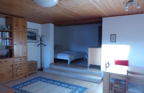 Gmunden Apartamento | Ferienwohnung Traunsee Ost