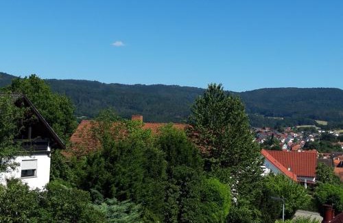Rimbach Apartamento | Ferienwohnung Trommblick - Natur Pur - Rimbach im Odenwald