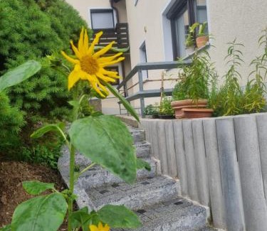Kollnburg Apartamento | Ferienwohnung Umkreis Sankt Englmar mit vielen Freizeitattraktionen