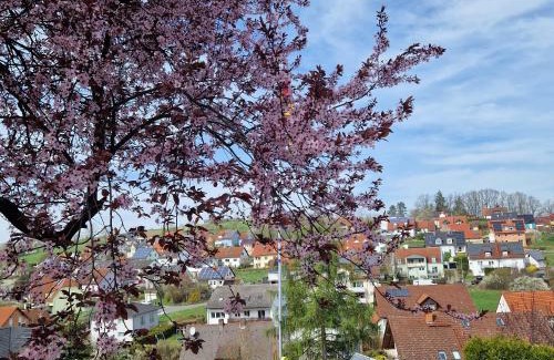 Viereth Apartamento | Ferienwohnung Wachter in Viereth mit tollem Ausblick