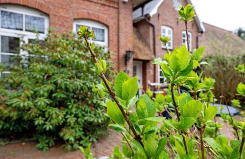 Klintum Apartamento | Ferienwohnungen Alte Schule Klintum