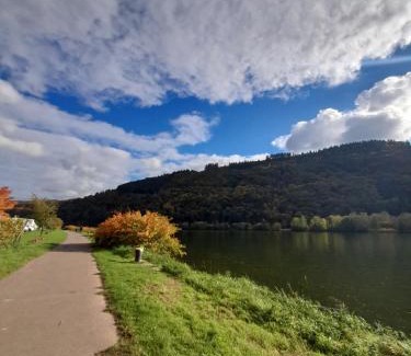 Mehring Apartamento | Ferienwohnungen am Moselbeach