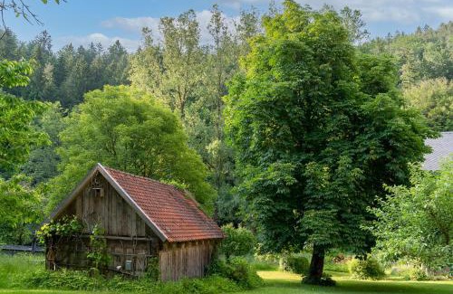 Neunburg vorm Wald Apartamento | Ferienwohnungen Mittermurnthal