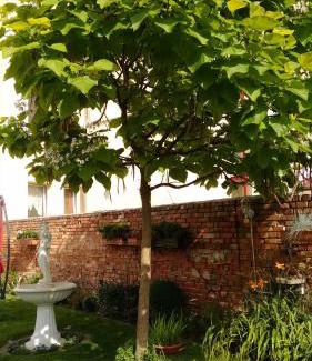 Stendal Apartamento | Ferienwohnungen Haus Leonore