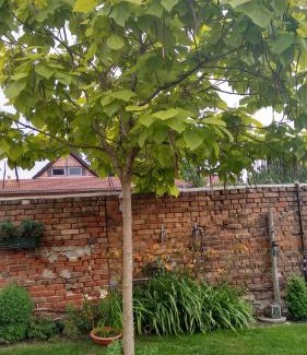 Stendal Apartamento | Ferienwohnungen Haus Leonore
