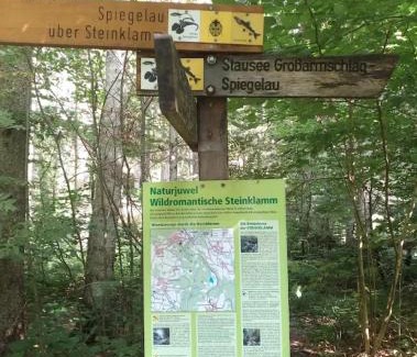 Eppenschlag Apartamento | Ferienwohnungen Kremser bei Spiegelau Eppenschlag