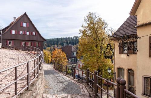 Altensteig Casa | Ferienwohnungen Metzgerpost