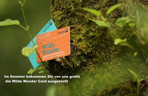 Goestling an der Ybbs Apartamento | Ferienwohnungen Orth