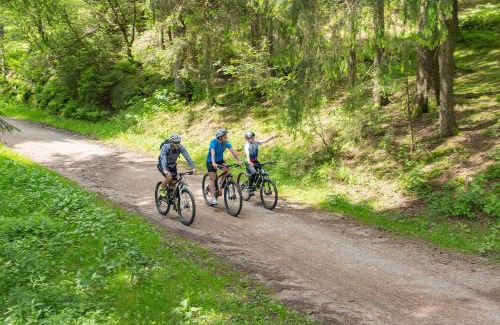 Schoenwald Apartamento | Ferienwohnungen Uhren Allgaier