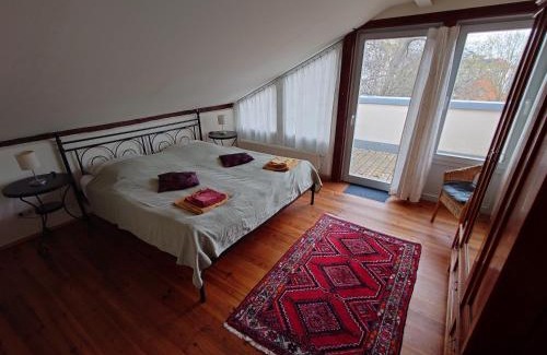 Suedvorstadt Apartamento | Ferienwohnungen Villa Haniel Sophie