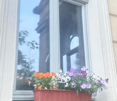 Weissenfels Casa | Ferienzimmer Healing und Montuerwohnung
