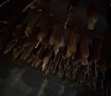 Saliceto Casa | Ferme auberge U sapè fà