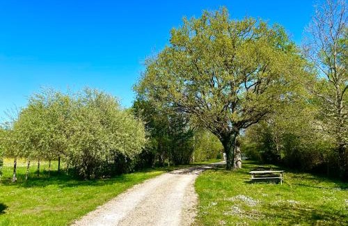 La Ferte-Saint-Cyr Cama Y Desayuno | Ferme de Marpalu