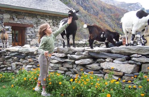 Gedre Casa | Ferme de Trabés *