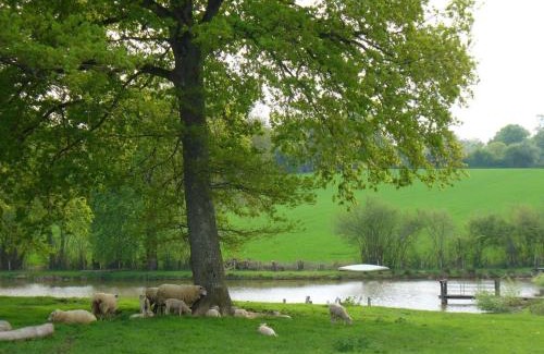Vigoulant Casa | Fermette au calme avec piscine, jardin et étang de pêche - FR-1-591-333