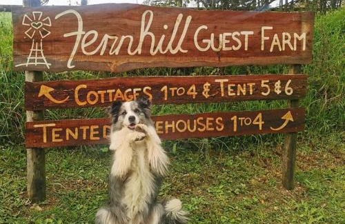 Rheenendal Casa | Fernhill Guest Farm