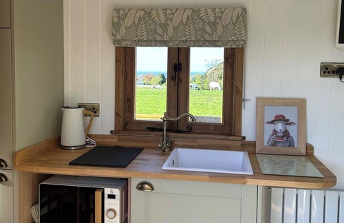 Saltburn-by-the-Sea Cabina | Fernlea Luxury Shepherds Hut - Sleeps 2 & Hot Tub