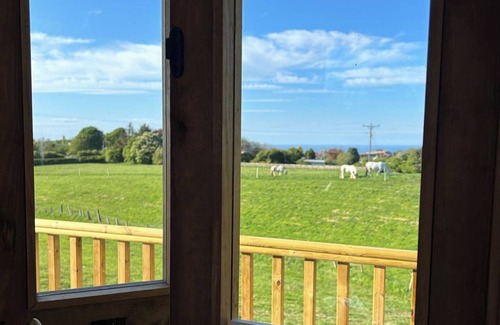 Saltburn-by-the-Sea Cabina | Fernlea Luxury Shepherds Hut - Sleeps 2 & Hot Tub
