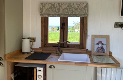 Saltburn-by-the-Sea Cabina | Fernlea Luxury Shepherds Hut - Sleeps 2 & Hot Tub