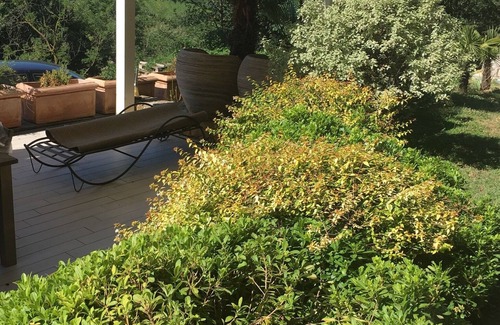 Montegrotto Terme Apartamento | Casa de huéspedes festinalente