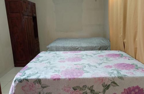 Parintins Casa | Festival de Parintins