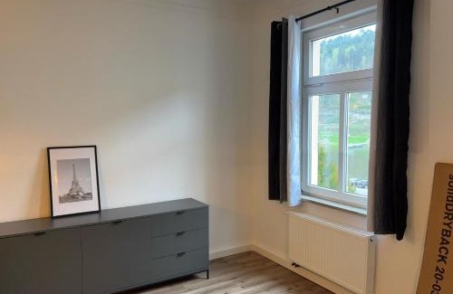 Reinhardtsdorf-Schoena Apartamento | FEWO Elbeblick