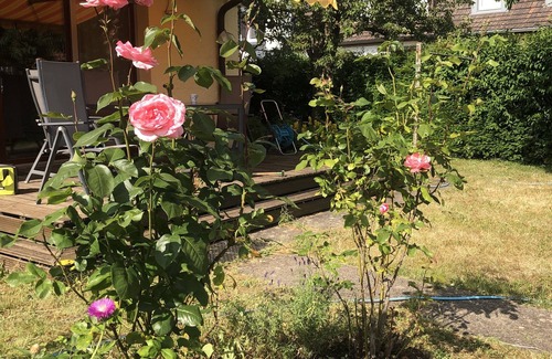 Hammelburg Apartamento | Fewo-hammelburg Gemütliche, Geräumige Ferienwohnung mit Terrasse und Garten