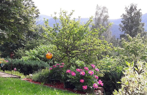 Bodenmais Apartamento | Fewo-Harlachberg-Blick-1