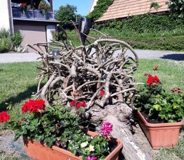 Hinterhermsdorf Apartamento | Fewo Hoyer