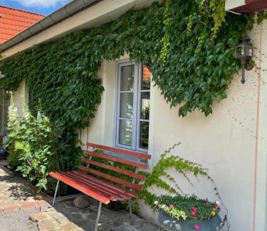 Kotzschenbroda Apartamento | FEWO im Kneipenviertel Altkötzschenbroda