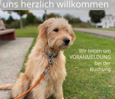Rhynern Apartamento | FeWo Johan - ideal für 1-2 Personen, eigene Terrasse
