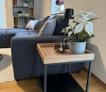 Bischberg Apartamento | FeWo Kümo III an der Regnitz Bischberg's