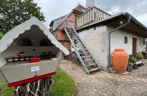 Biendorf Casa | FeWo's am Gutshaus im Ostseeland