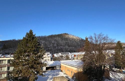 Bad Lauterberg Apartamento | Fewo Scholbenblick