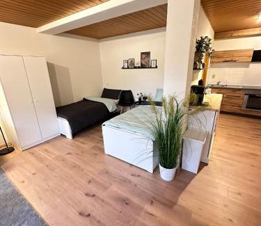 Donaueschingen Apartamento | FEWO Sternen