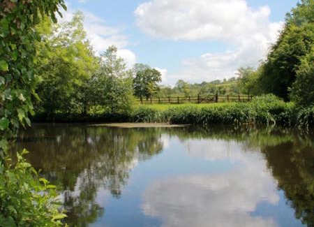 Llanpumsaint Casa | Fferm Y Felin