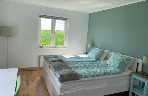 Lund Casa | Field View Nest
