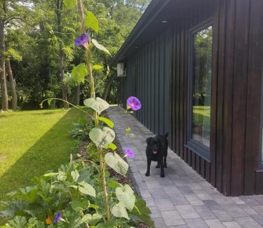 Zamosc Chalet De Esquí | Figarnia na Roztoczu