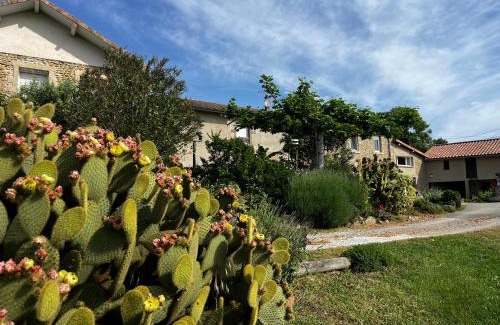 Chateauneuf-de-Galaure Apartamento | Figuets 3