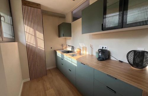 Wasselonne Apartamento | Filature 1813-Duplex-Relaxation,spa,garden View