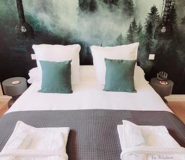 Wasselonne Apartamento | Filature 1813-Duplex-Relaxation,spa,garden View