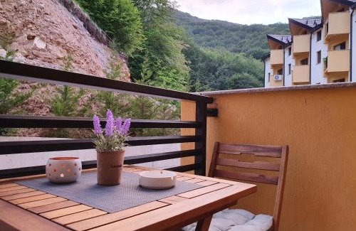 Mavrovo Apartamento | Filip&Yana Apartment